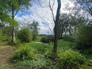 Ferienhaus Winchester Umgebung 32