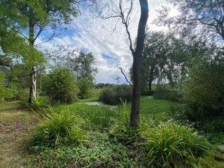 Vakantiehuis Winchester Omgeving 15