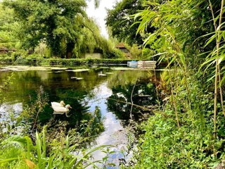 Vakantiehuis Winchester Omgeving 33