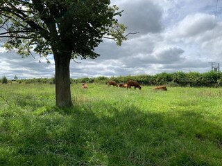 Vakantiehuis Winchester Omgeving 27