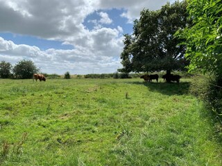 Vakantiehuis Winchester Omgeving 27