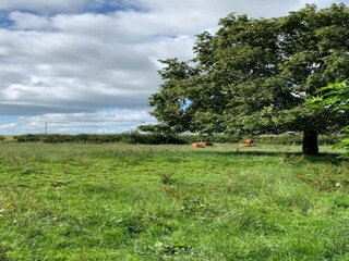 Maison de vacances Winchester Environnement 29