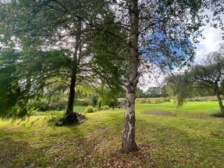 Casa per le vacanze Winchester Ambiente 20