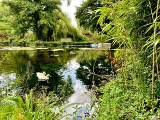 Vakantiehuis Winchester Omgeving 32