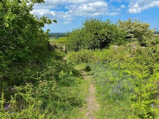 Vakantiehuis Winchester Omgeving 24