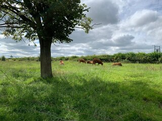 Vakantiehuis Winchester Omgeving 32