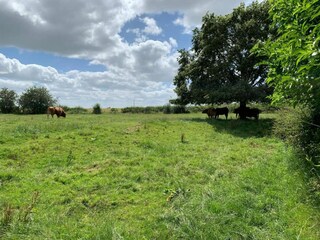 Vakantiehuis Winchester Omgeving 33