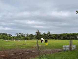 Ferienhaus Skærbæk  34