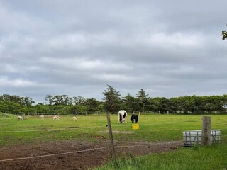 Maison de vacances Skærbæk  19
