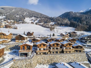 Ferienpark Neukirchen am Großvenediger Außenaufnahme 4