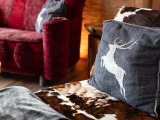 Holiday park Neukirchen am Großvenediger  51