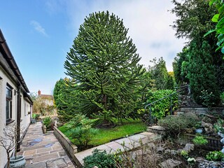 Vakantiehuisje Welt Buitenaudio-opname 12