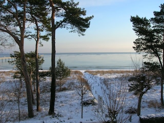 Blick auf die Ostsee im Winter