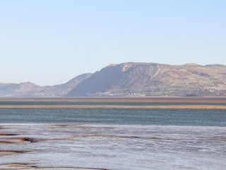 Apartment Bangor Environment 41