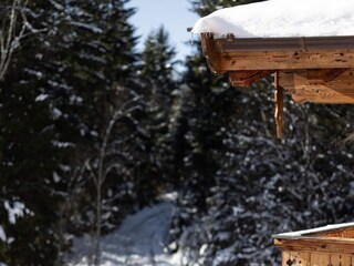 Parco vacanze Neukirchen am Großvenediger  28