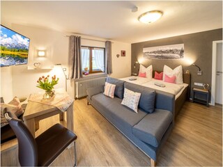 Schlafzimmer mit Schlafcouch und  TV