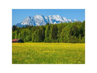 Ausblick von Ihrem Balkon