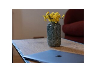 Details Kitchen/Living