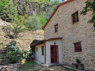 Ferienhaus Musselburgh Außenaufnahme 6