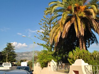 Vakantieappartement Orosei Buitenaudio-opname 3