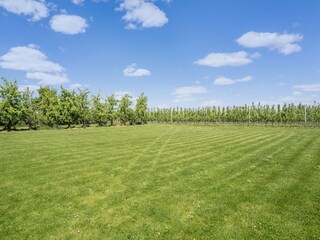 Villa Tongeren Ambiente 38