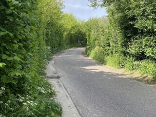 Casa de vacaciones Ouddorp Grabación al aire libre 30