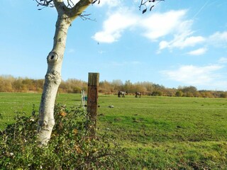 Maison de vacances Dishoek Enregistrement extérieur 16