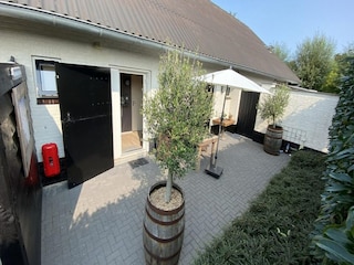 Apartment Renesse Außenaufnahme 4