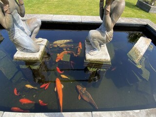 Apartamento Renesse  20