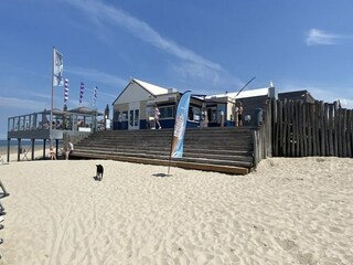 Maison de vacances Renesse Environnement 50