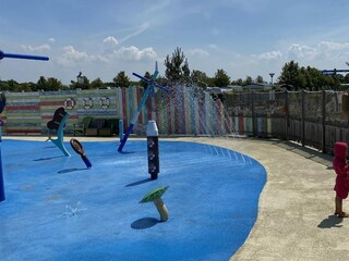Casa de vacaciones Renesse Grabación al aire libre 43