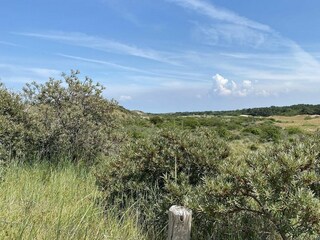 Casa per le vacanze Renesse Registrazione all'aperto 44