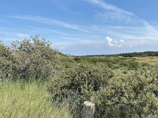 Maison de vacances Renesse Enregistrement extérieur 50