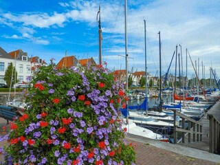 Villa Brouwershaven Omgeving 17