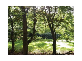 Chalet Oostkapelle Buitenaudio-opname 21