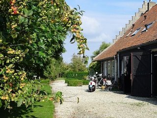 Villa Renesse Außenaufnahme 4