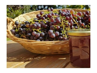 Maison de vacances Renesse Enregistrement extérieur 15