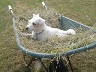 Casa per le vacanze Renesse Registrazione all'aperto 19