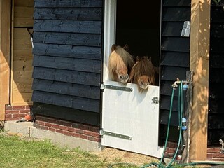 Maison de vacances Renesse Enregistrement extérieur 33