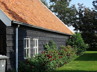 Ferienhaus Renesse Außenaufnahme 30