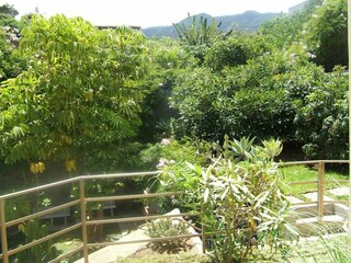 Apartamento de vacaciones Puerto de la Cruz Grabación al aire libre 10