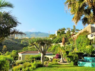 Apartamento de vacaciones Puerto de la Cruz Grabación al aire libre 7