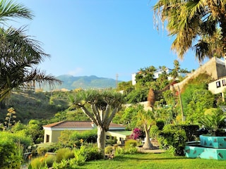 ein Blick in den Garten der Finca