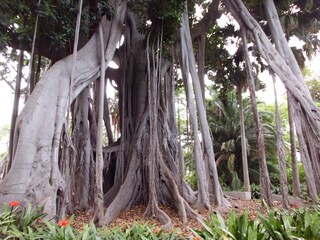 Im Botanischen Garten