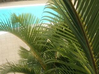 Appartamento per vacanze Puerto de la Cruz Registrazione all'aperto 5