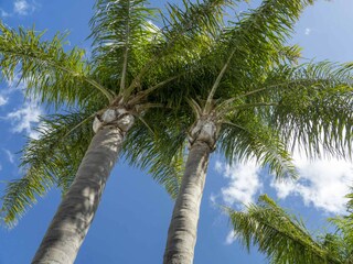 Villa Fuseta Environment 75