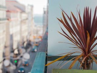 balcony and river view