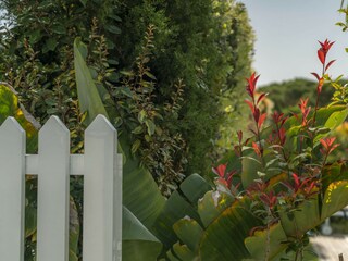 Villa Sesimbra Environment 43