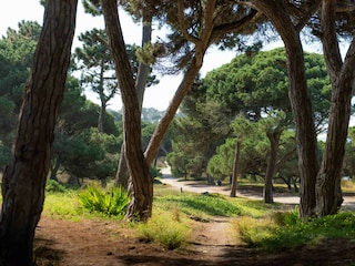 Villa Sesimbra Außenaufnahme 10