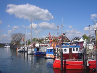 Der Niendorfer Hafen - hier gibts frischen Fisch